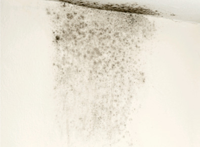 고창 주택 아파트 공장 결로검사 결로공사 시공업체