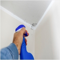 고창 주택 아파트 공장 결로검사 결로공사 시공업체-6106290