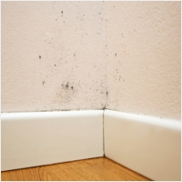 고창 주택 아파트 공장 결로검사 결로공사 시공업체-6106295